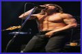 Unveiling The Life Of Anthony Kiedis At 19: A Journey Of Passion And Music